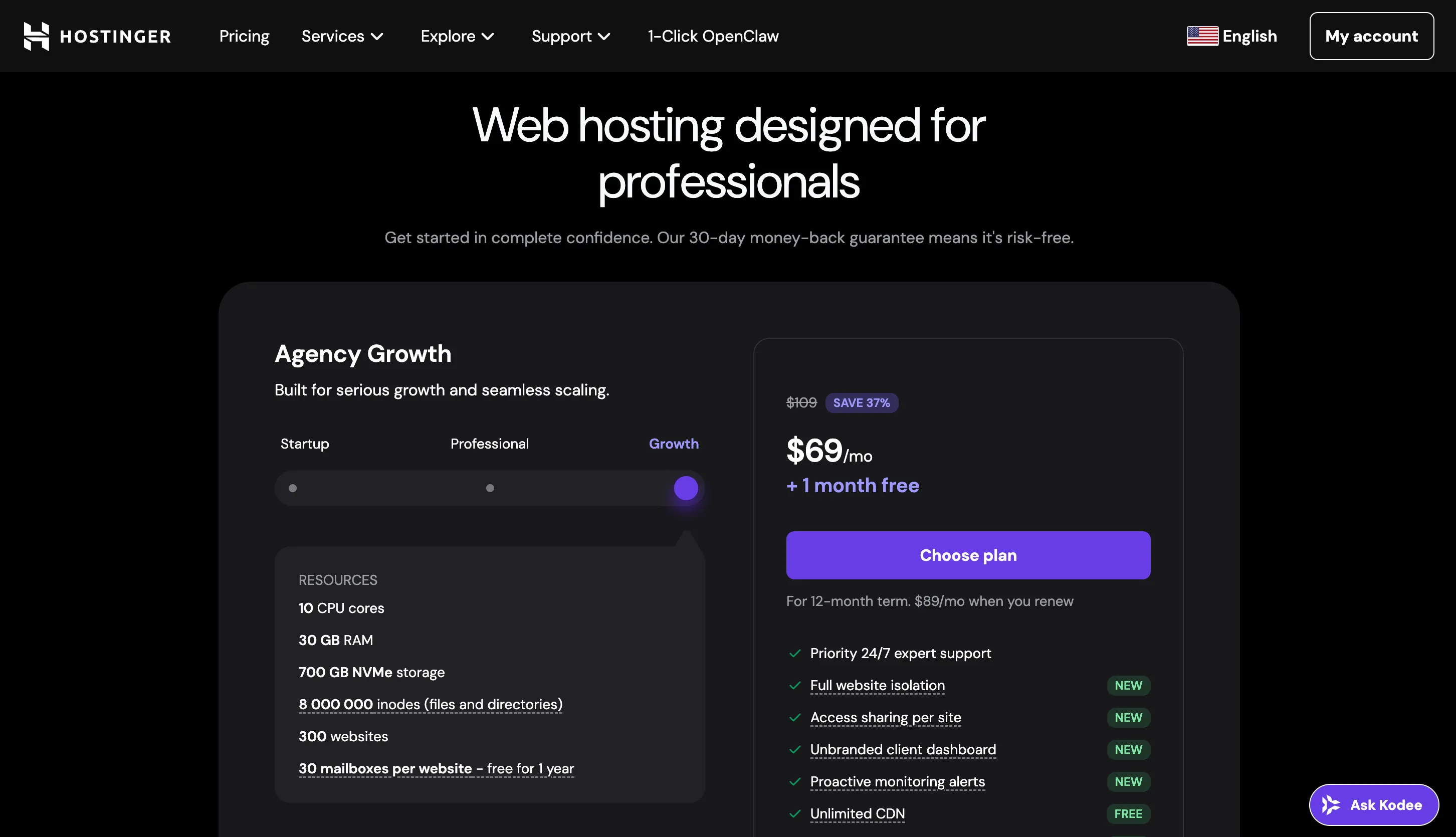 Hostinger Agency Hosting