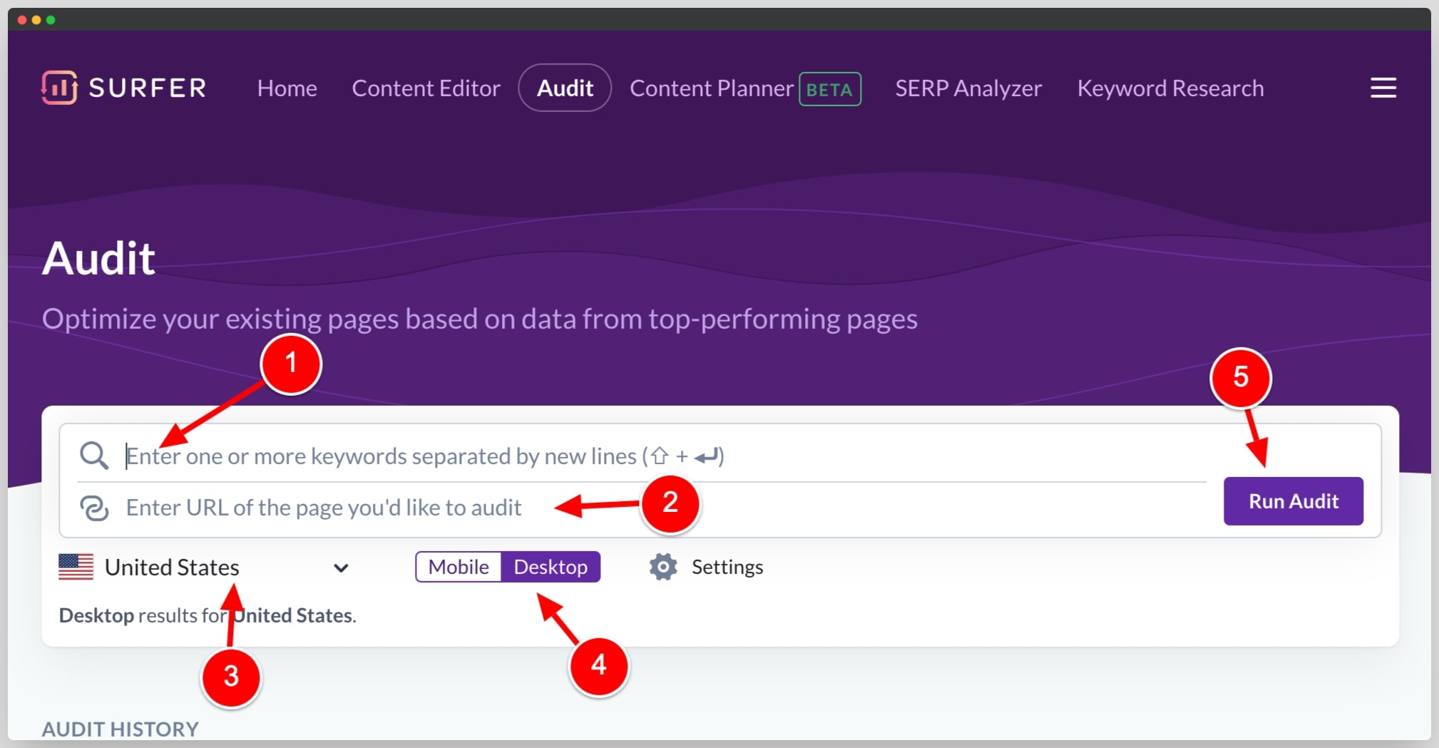 SEO Audit in Surfer SEO