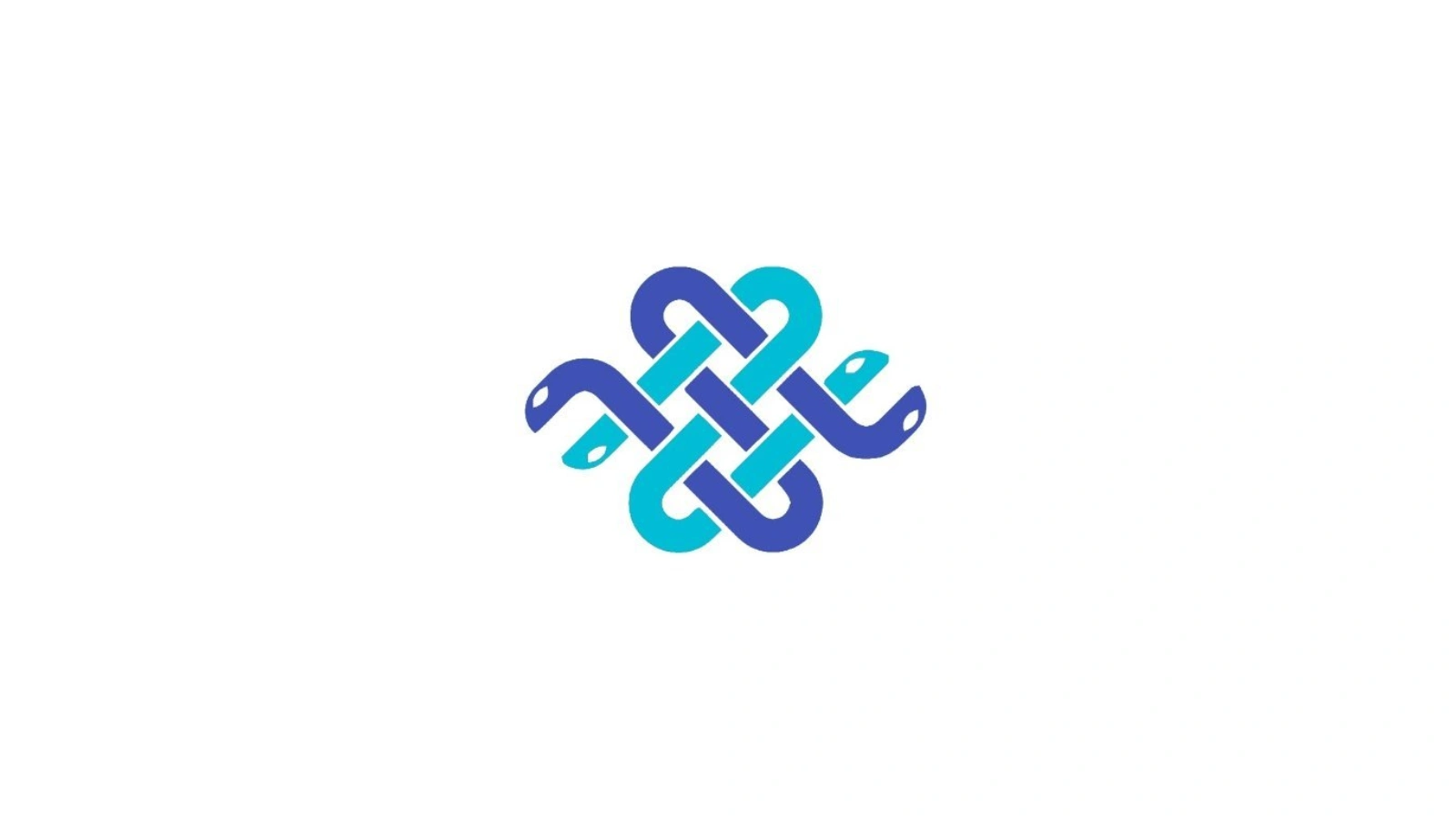 HydraProxy Logo